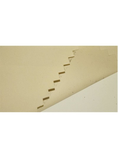 FJ-FRFE   WH-8852  PONGEE WITH AC  100％polyester 50*50/300T 58'' 45度照